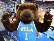 Joe Bruin